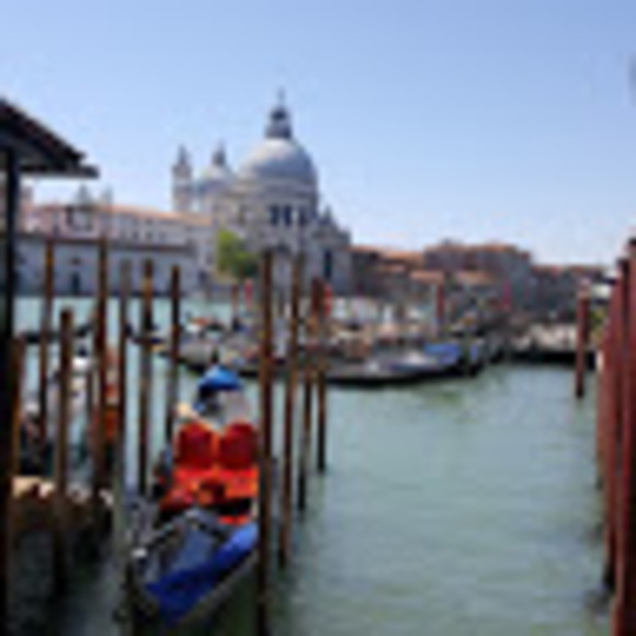 Meet your Posher, Nicole - Picture 1 of 1